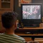 Ростовский Бэтмен, робот-полицейский с ИИ и топ-100 лучших фильмов ужасов