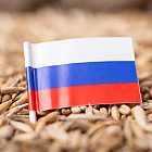 Дело Ройзмана. Пожар в Ростовской области. Владимир Путин сказал, что урожай в России значительно превышает урожай в Европе. Про футбол. Перекрытие Москвы