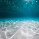 Почему море синее