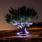 В гостях концертный промоутер, директор «Элли на маковом поле» и VLNY Александр Крамской