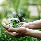 Максим Шингаркин об актуальных событиях в сфере экологии