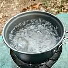 Куда исчезают бактерии при кипячении