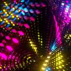 Lovebirds, Crazy P, Escort