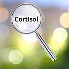 Кортизол и адреналин - гормоны коры надпочечников