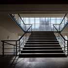 Фильм «Мадам Клико», выставка «Природа предмета», занятие «Подъезд, падик, парадная»