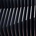 Episode 341: The American English, Tonique & Man, Durante