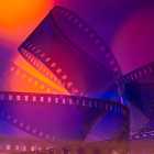 Фильмы Линча в киноклубе МАММ, лекции Варвары Любовой, спектакль по пьесе Бродского «Мрамор»