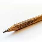 Жизнь Сергея Щукина