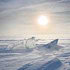 О предстоящем путешествии на Северный полюс