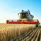 Фейк о смерти Карла Третьего. Выборы президента России. О запрете экспорта зерна