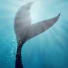 Русалки Крамского