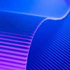 VITE, Andor Gabriel & Max Well, Dani El