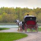 Линейка – на чем ездили москвичи до появления трамвая