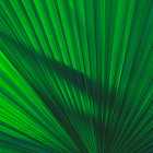 Лучшие треки P. Diddy