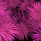 Ancient Infinity Orchestra, Sababa 5, Thomas Mudrick