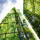 В гостях: Эрика Лундмоен. Armich & Skryptonite, Janelle Monae