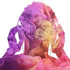 Slave, Tom Coppola & Googie, Crow