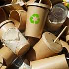 Максим Шингаркин об экологии. Ситуация от Красного бора до Невы. Как рекультивируются полигоны?