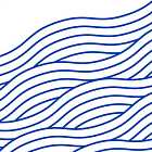 The Nielsen Valley, The Kribo Brothers, Psychedelic Sun's