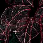 Rhythm Rhyme Revolution, Las Los, The Shacks