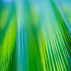 Самые важные хип-хоп треки нулевых. В гостях: Дима Егоров aka Габонская гадюка