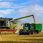 Повышенная инфляция из-за урожая. Государство пытается отказаться от субсидирования