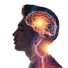 Наука в сериале – серьезно и смешно? Премьера сериала «Ректор»