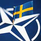 В Израиле недовольны высказываниями Греты Тунберг. Эрдоган одобрил вступление Швеции в НАТО