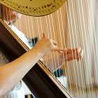 Мастер-классы в Центре Зотов, фильм об архитекторе Алваре Аалто, альбом Мэри Латтимор и Уолта Макклементса