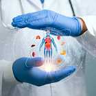 Какой орган нашего тела самый большой