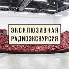 Радиоэкскурсия по выставке «Аниш Капур. Моя Алая родина»