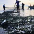 Авиакатастрофа над Вашингтоном. Роспотребнадзор разрешил ловить рыбу после разлива мазута