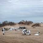 Новая встреча делегаций России и США. Оценка редкоземельных металлов в России. Повторные выбросы на пляжах Краснодарского края