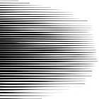 ascension basketball, julian lynch, 98 polecat