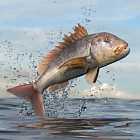 Могут ли рыбы утонуть