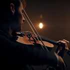 Аниме «Порко Россо», «Дни Сакамото», концерт «Пробуждение»