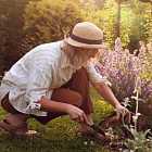 Какие цветы запрещено выращивать на даче? Пожары в лесах Бурятии.