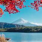 Россиянки массово лысеют. Вершина Фудзи не покрылась снегом. Трамп приехал на митинг на мусоровозе