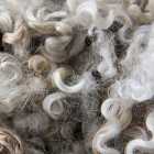 Почему у человека нет шерсти