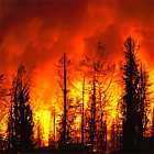 Арест бизнес-партнера Пригожина. Вспышки бубонной чумы. Крупный лесной пожар в Геленджике