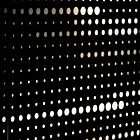 Episode 346: Third Attempt, Roosevelt, T.J. Wilkins