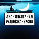 Радиоэкскурсия по выставке «Человек как птица. Образы путешествий»