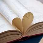 Книжное свидание вслепую, фильм «Патерсон», органный концерт в музее Пушкина