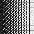 Mundopal, Mita Gami, Mr. Chuck