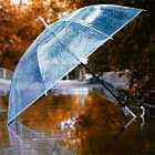 От чего зависит климат? Объясняет метеоролог Павел Константинов